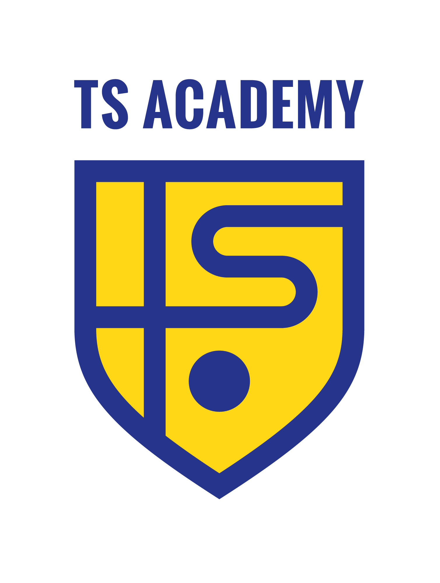 TS-ACADEMY-colori-CMYK